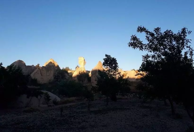 هتل Di̇ri̇li̇ş Banarya Pansi̇yon