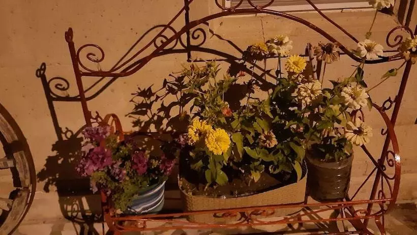 هتل Di̇ri̇li̇ş Banarya Pansi̇yon