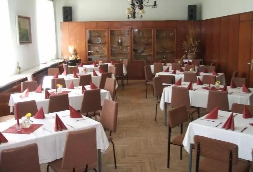 Hotelli Gasthaus & Pension Zum Schwarzen Adler
