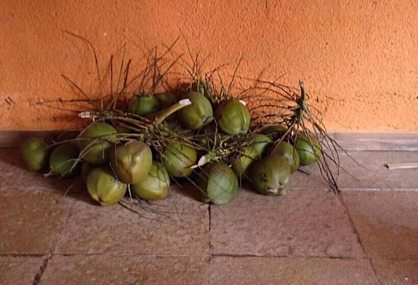 酒店 La Papa Resort