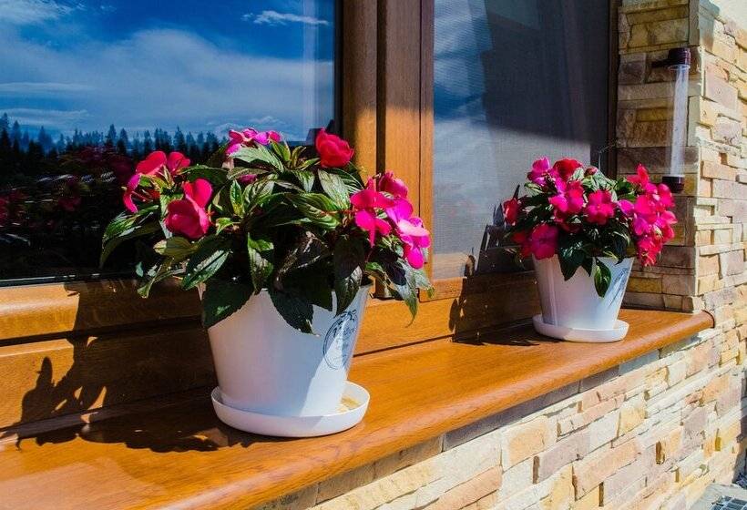 پانسیون U Pawlikowskich