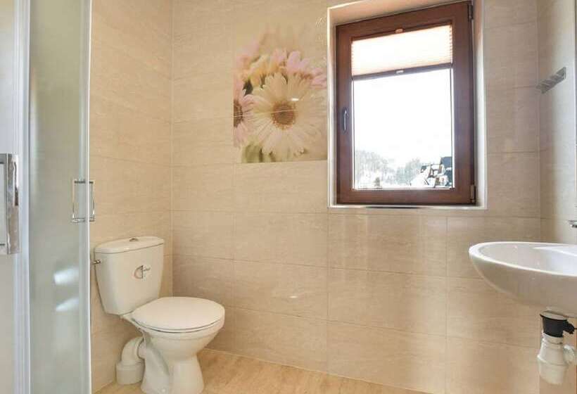 پانسیون U Pawlikowskich