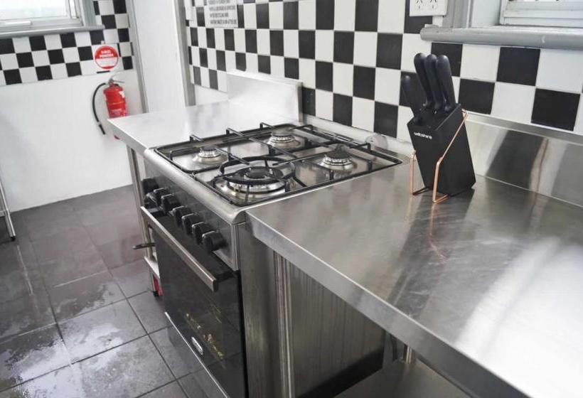 הוסטל Rooftop Travellers Lodge