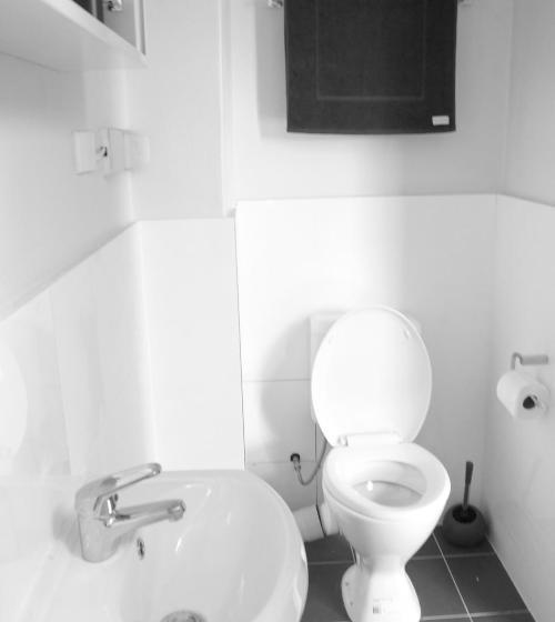 הוסטל Rooftop Travellers Lodge