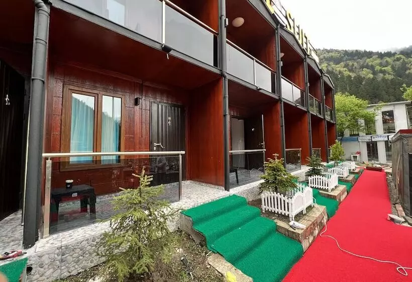Asell Suite