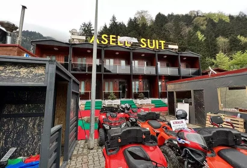 Asell Suite