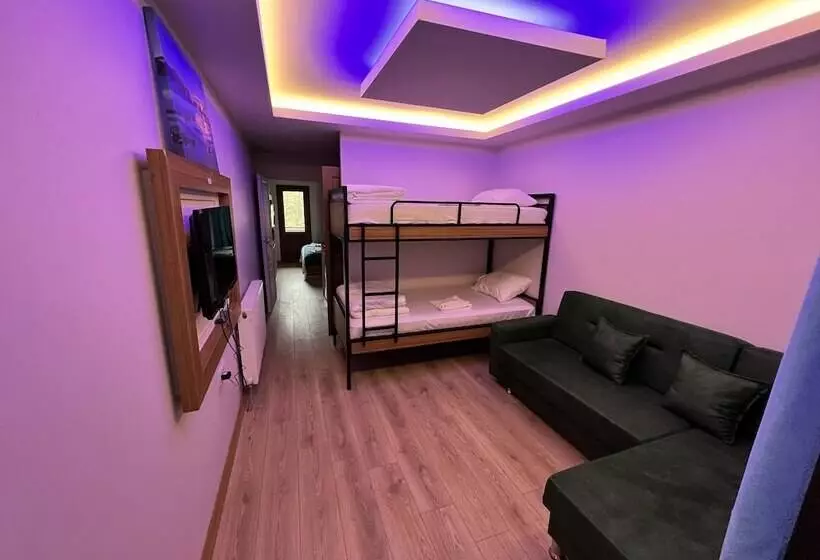 Asell Suite