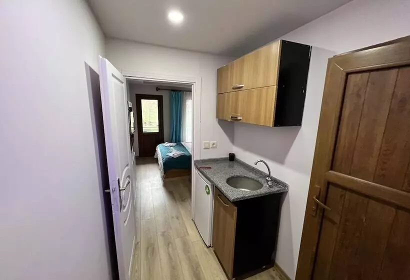 Asell Suite