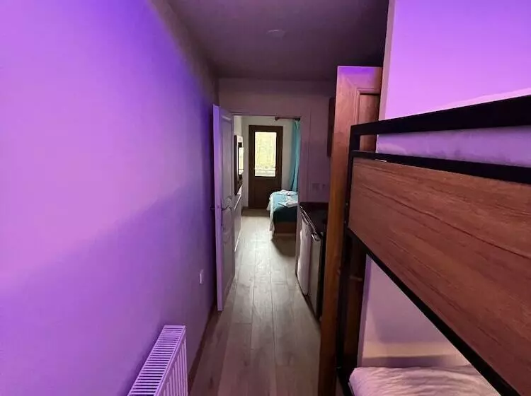 Asell Suite