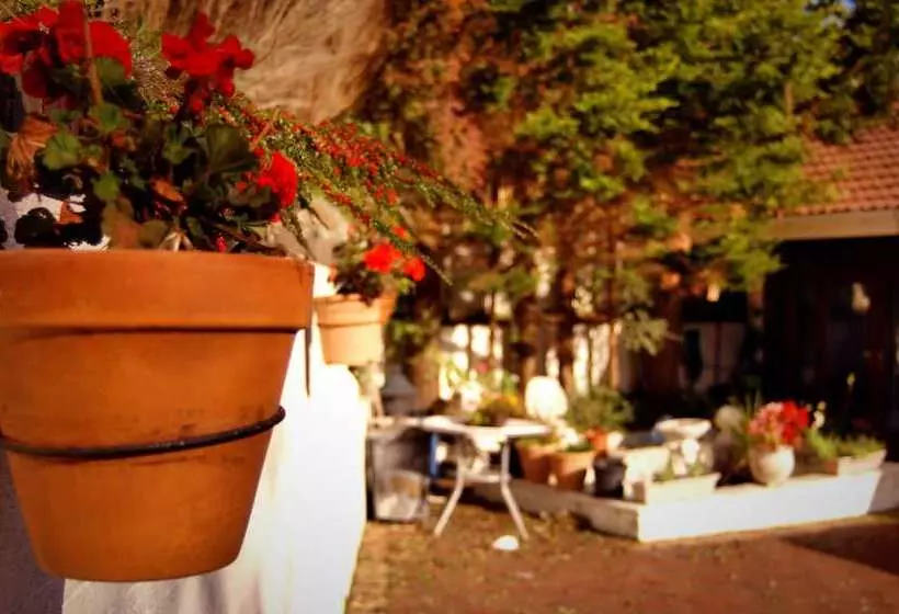 Cedar Grove Luxury B&b