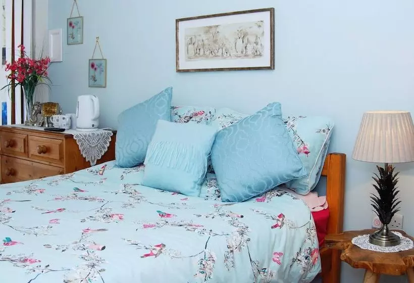 Cedar Grove Luxury B&b