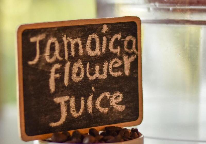 酒店 Noah's Forest By Tifakara