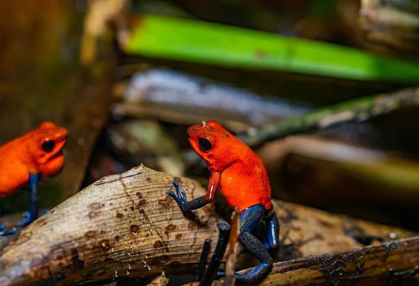 酒店 Noah's Forest By Tifakara