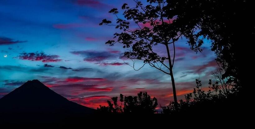 酒店 Noah's Forest By Tifakara