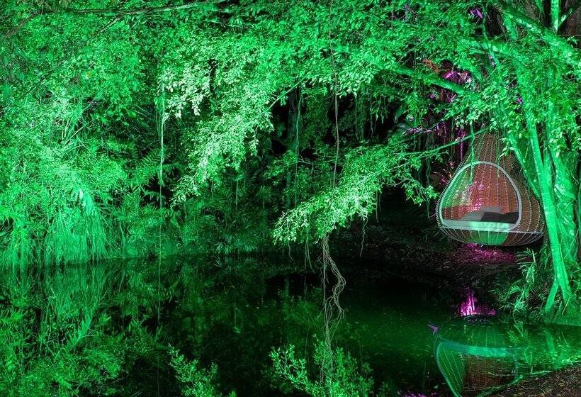 酒店 Noah's Forest By Tifakara