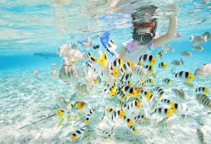 ペンション Johan's Place