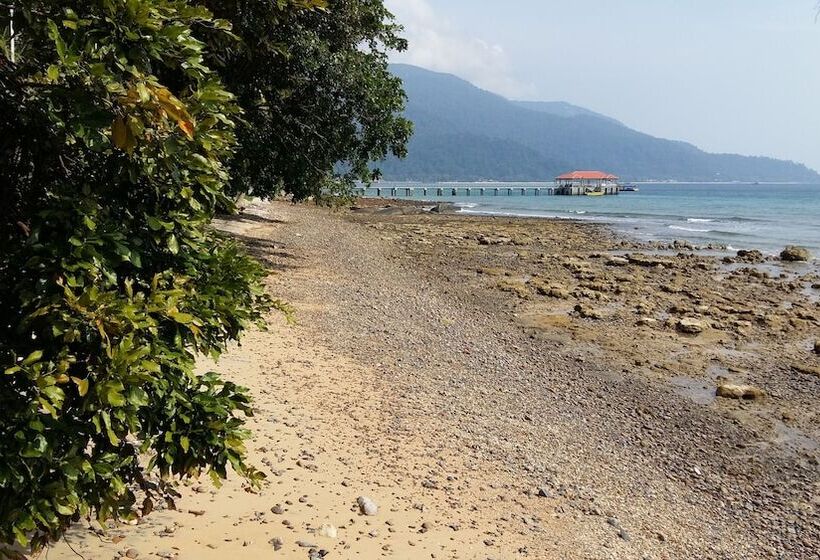 ペンション Johan's Place