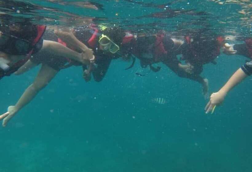 ペンション Johan's Place