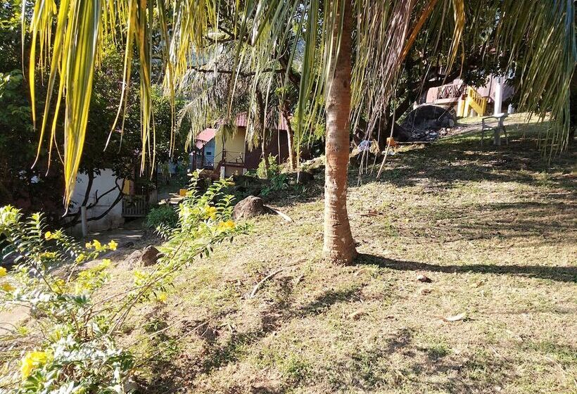 ペンション Johan's Place