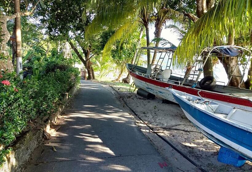 ペンション Johan's Place