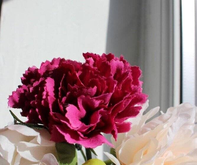 بنسيون Park Lane Heights