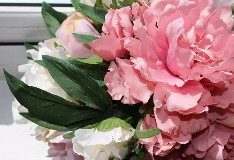 Majatalo Park Lane Heights