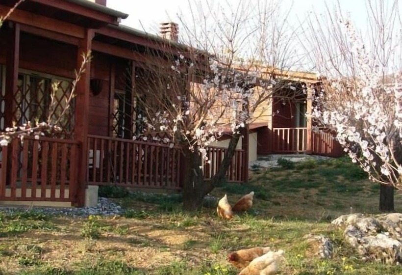 Pensione Villa Rustica