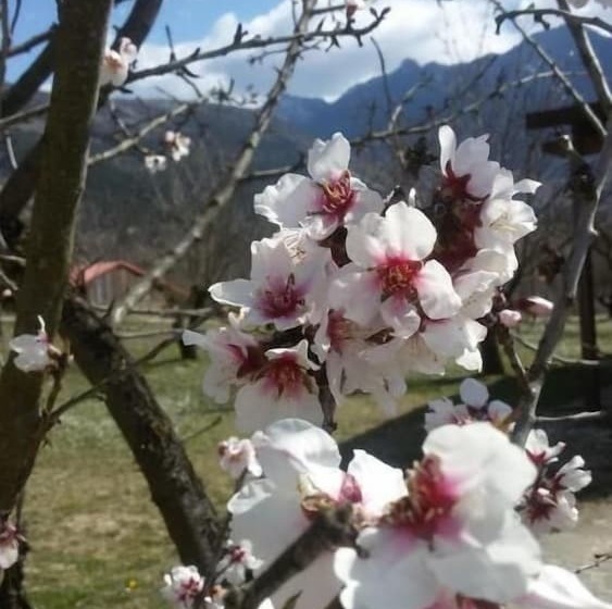 Pensione Villa Rustica