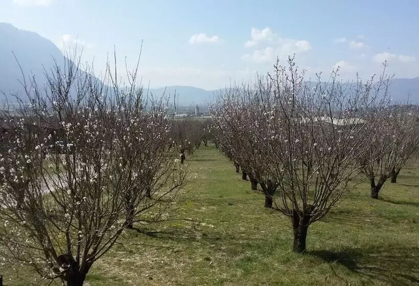 Majatalo Villa Rustica