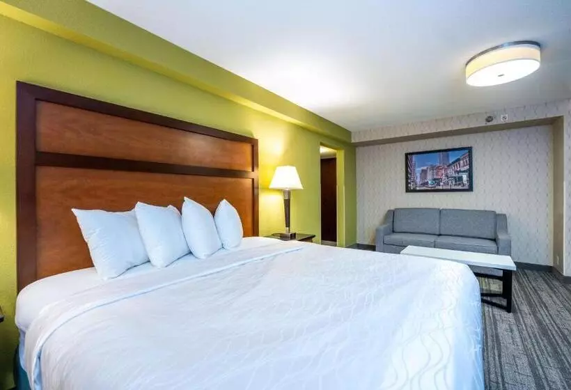 酒店 Best Western Plus Houston Energy Corridor