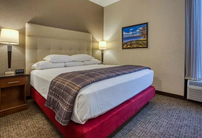 酒店 Drury Inn & Suites St. Louis Fairview Heights
