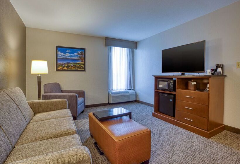 ホテル Drury Inn & Suites St. Louis Fairview Heights