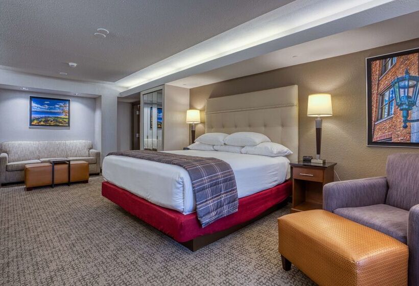 ホテル Drury Inn & Suites St. Louis Fairview Heights