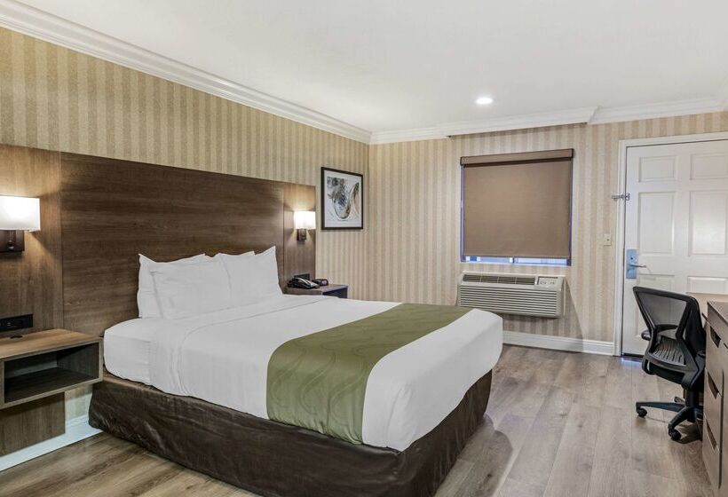 酒店 Quality Inn & Suites Anaheim Maingate