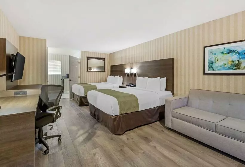 ホテル Quality Inn & Suites Anaheim Maingate