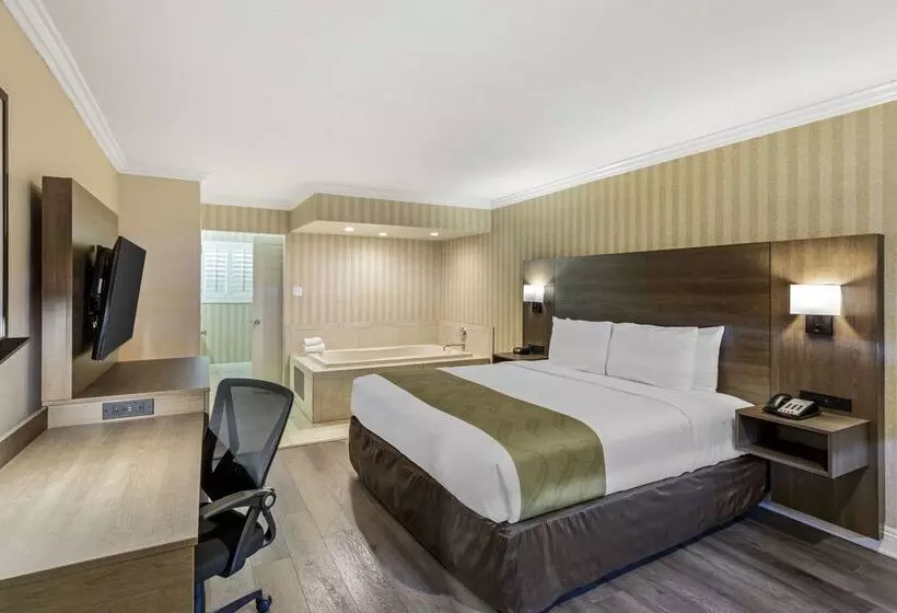 ホテル Quality Inn & Suites Anaheim Maingate