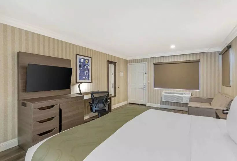 ホテル Quality Inn & Suites Anaheim Maingate