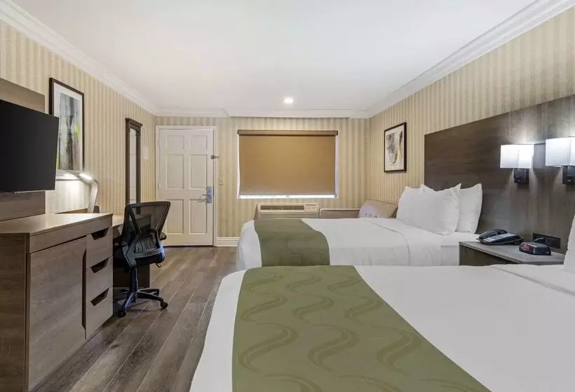 ホテル Quality Inn & Suites Anaheim Maingate