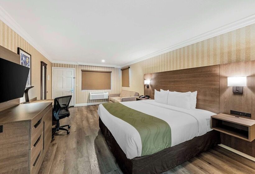 酒店 Quality Inn & Suites Anaheim Maingate