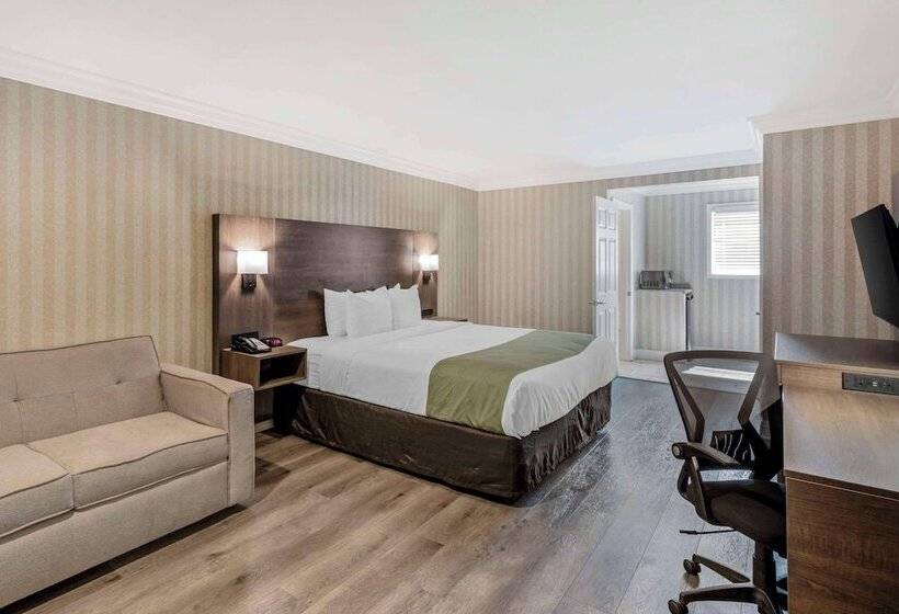 酒店 Quality Inn & Suites Anaheim Maingate