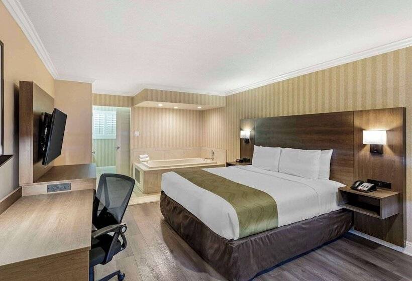 酒店 Quality Inn & Suites Anaheim Maingate