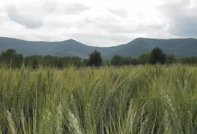 ベッドアンドブレックファースト Chambres D Hôtes Chez Mado Ottrott