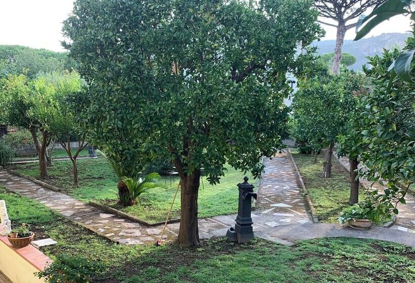 B&b Massico Apartments