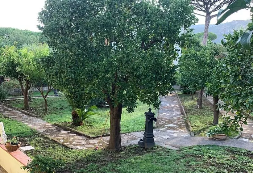 B&b Massico Apartments