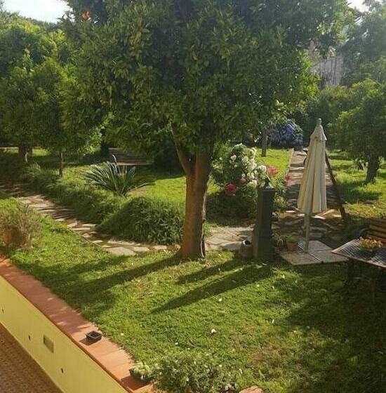 B&b Massico Apartments