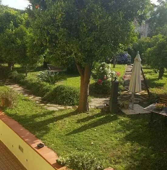B&b Massico Apartments