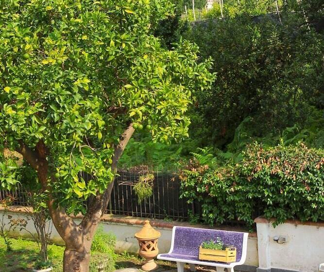 B&b Massico Apartments