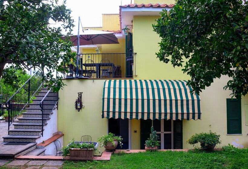 B&b Massico Apartments