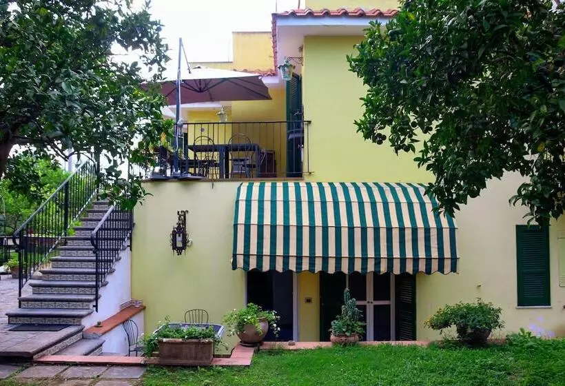 B&b Massico Apartments