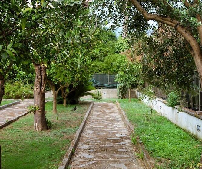 B&b Massico Apartments